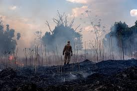 A firefighter surveys the  devastating aftermath of the Amazon Rainforest fires.