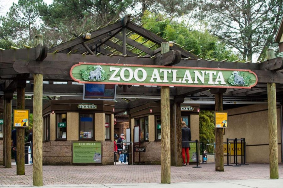 Senior Rosie Driscoll and freshman Blake Horne are participants in the Volunteen Program at Zoo Atlanta. Driscoll and Horne work at the zoo regularly throughout the year, doing everything from interacting with guests to cleaning animal habitats.