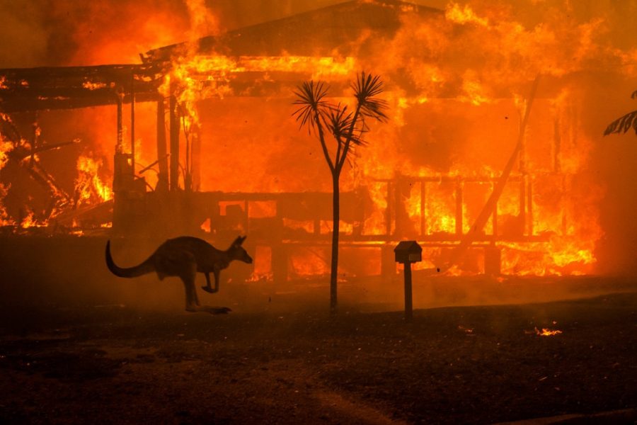 Looking for someone to point the finger at for the devastating brush fires in Australia? Look no further than oil and gas companies.