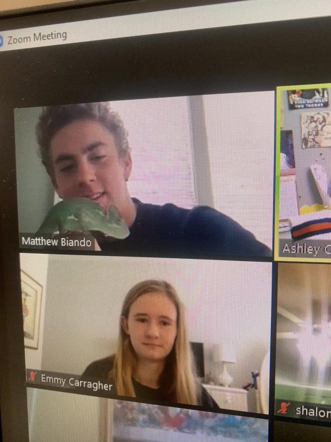 Senior Matthew Biando introduces his pet chameleon Sticky to yearbook class. Biando got Sticky at the beginning of the school year, and she makes frequent appearances on Zoom.