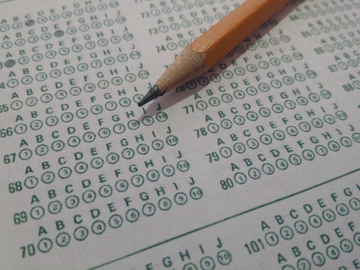 Students Participate in First Math Competitions of the School Year