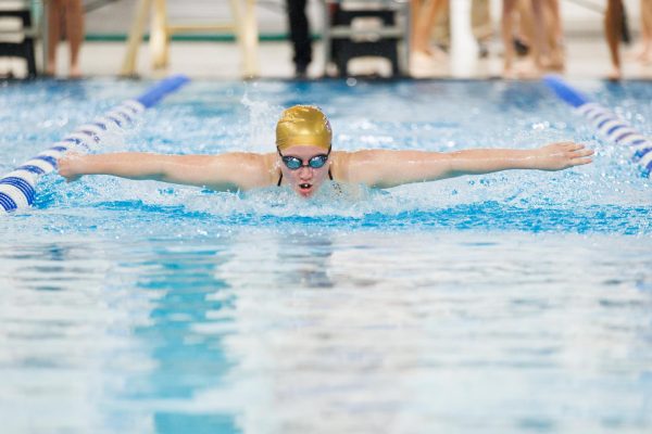 Swim and Dive Ends Season on a High Note at State Meet